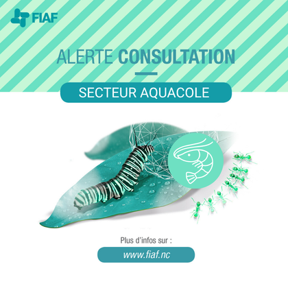 ALERTE CONSULTATION 2