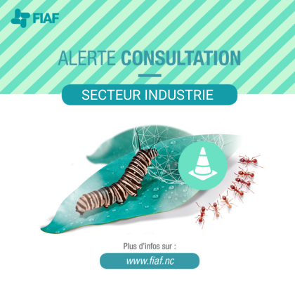 CONSULTATIN.jpeg