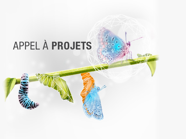 Bandeau web projets