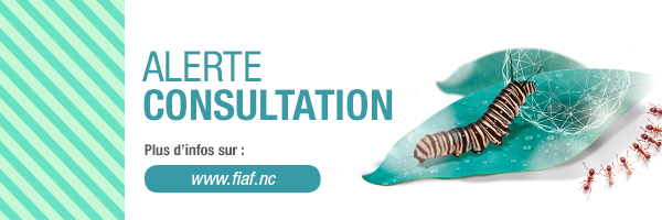 POSTS CONSULTATION